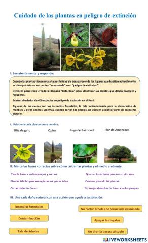 Plantas peruanas en peligro de extinción