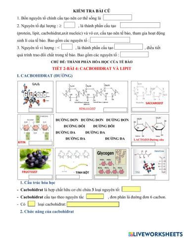 Bài 4.sinh 10.cacbohidrat và lipit