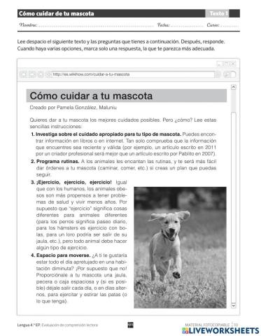 Cómo cuidar de tu mascota (LH4)