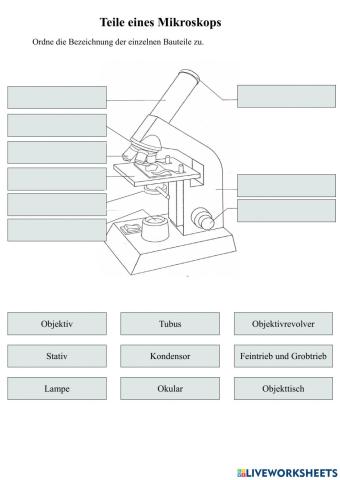 Aufbau eines Mikroskops