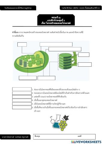 การสังเคราะห์ด้วยแสง