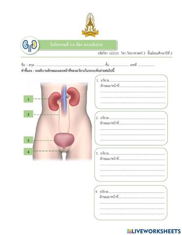 ระบบขับถ่าย