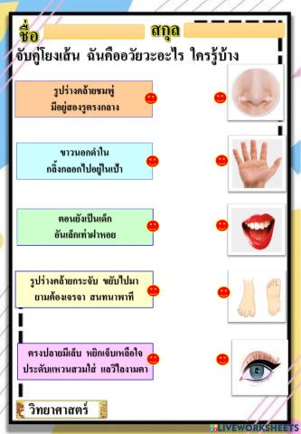 แบบฝึกหัดวิชาวิทยาศาสตร์