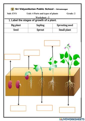 EVS live worksheet