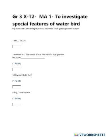 Gr 3 X-T2-  MA 1- To investigate special features of water bird