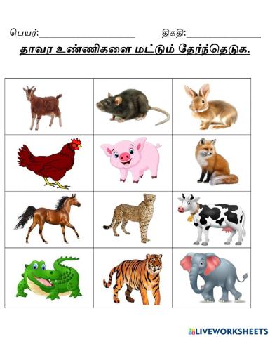 தாவர உண்ணிகளை மட்டும் தேர்ந்தெடுக.