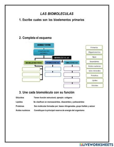 Biomoléculas