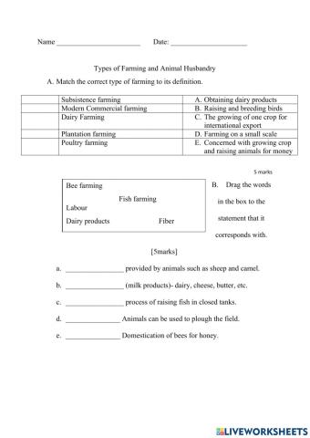 Commercial Farming- Animal Husbandry