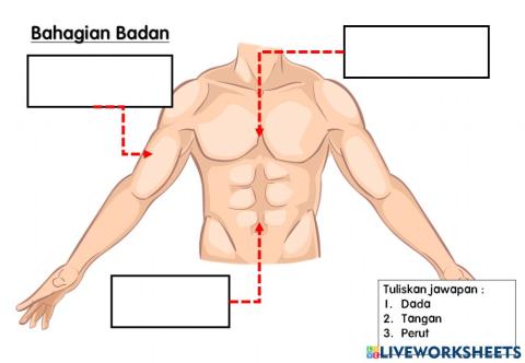 Pengurusan diri(anggota asas badan)