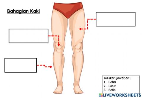 Pengurusan diri(anggota asas badan)