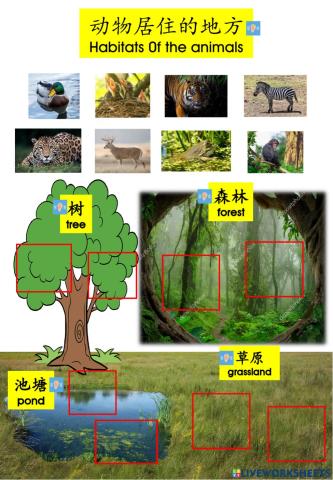 动物居住的地方