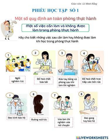 Quy định an toà trong PTH