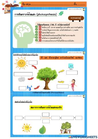 ใบงาน เรื่อง การสังเคราะห์ด้วยแสงของพืช