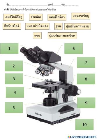 กล้องจุลทรรศน์