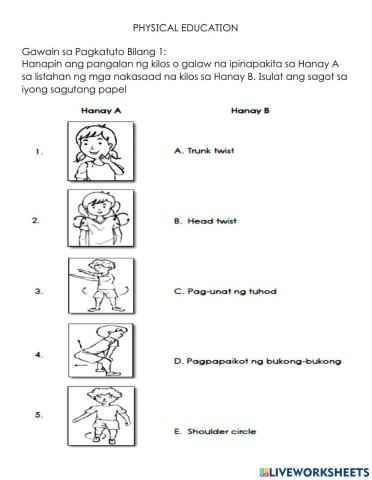 Mapeh worksheet