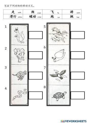 科学