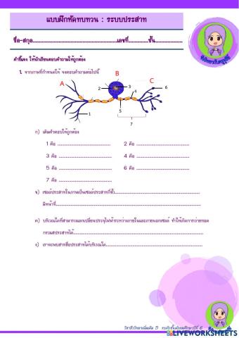 แบบฝึกหัดทบทวน ระบบประสาท