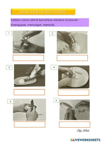 Kemahiran Bilateral