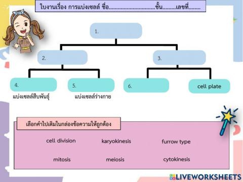 ใบงานการแบ่งเซลล์