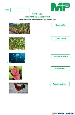 Binomial nomenclature