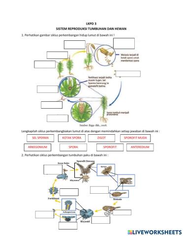Lkpd PERKEMBANGBIAKAN HEWAN DAN TUMBUHAN