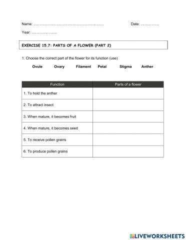Exercise 15.7 (parts of a flower part 2)