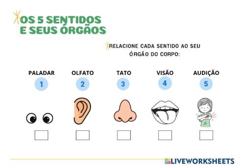 Os sentidos e seus órgãos