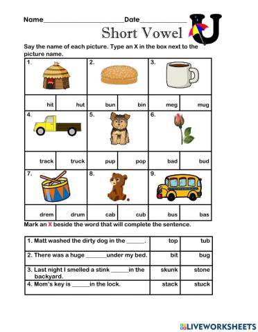 Short Vowel U Grade 3