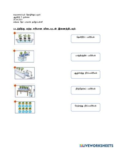 நீர்த்தேக்க நடவு முறை