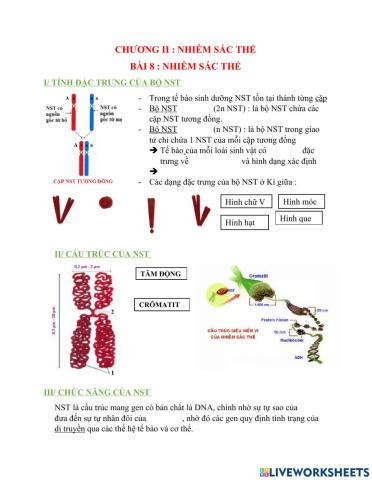 Bài 8-nhiễm sắc thể