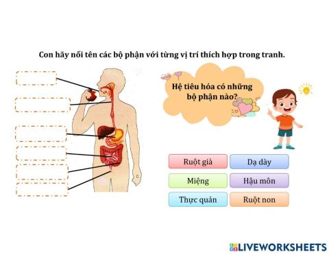 Tuần 5 - Phiếu 1