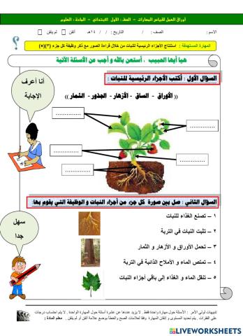 علوم أجزاء النبات