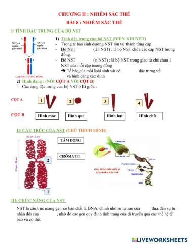 Bài 8-nhiễm sắc thể mới