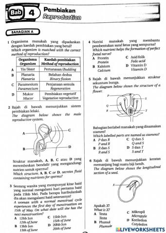 LATIHAN PEMBIAKAN FORM 1