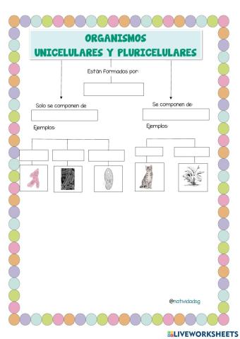 Organismos unicelulares y pluricelulares