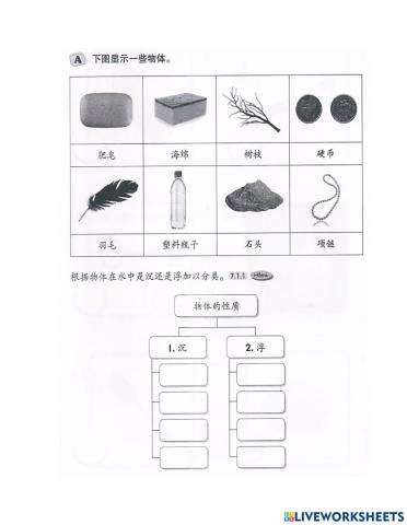 三年级科学 测量 密度