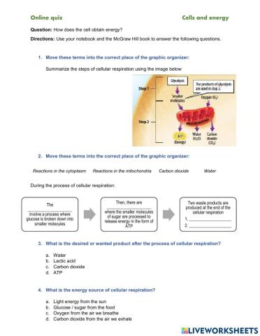 Cellular Respiration