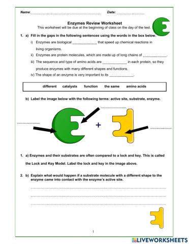 Properties of Enzymes