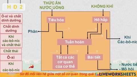 Khoa học tiết 1 tuần 2