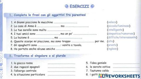 Gli aggettivi: la concordanza con il nome