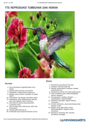 TTS  Reproduksi Tumbuhan dan Hewan