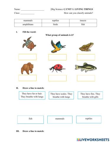 Big Science 4 How can you classify animals?