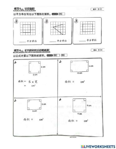 单元六：空间（面积）