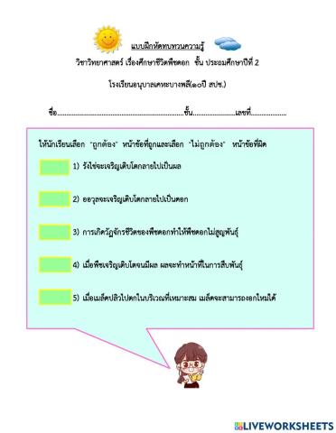 แบบฝึกหัดทบทวนความรู้ ชีวิตพืชดอก