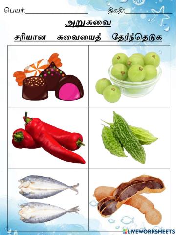 அறுசுவை activity 1