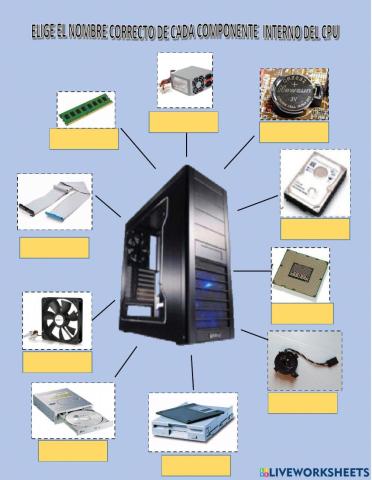 Componentes internos del  CPU