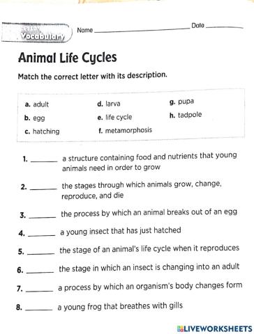 Unit 3: lesson 2-3