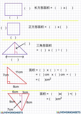 四年级 空间（面积）