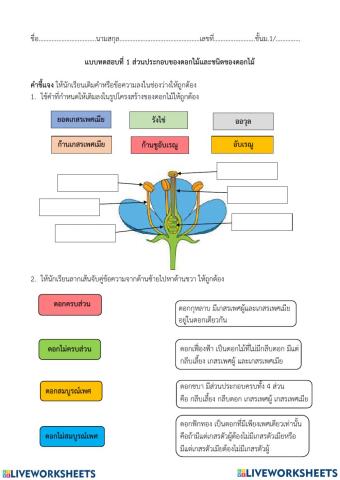 ส่วนประกอบของดอก