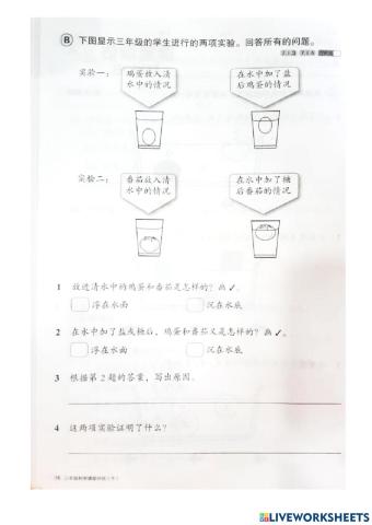 三年级科学 课堂评估 7